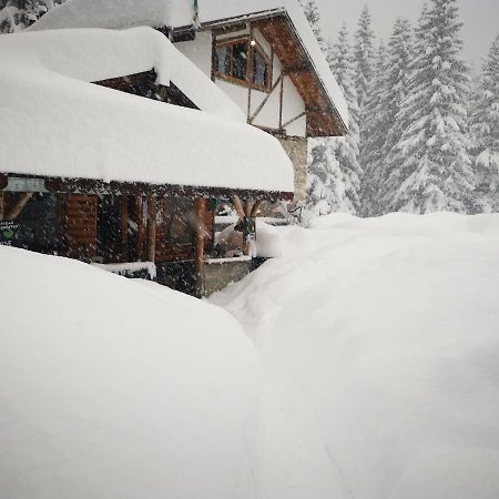Lovna Hut Villa Panichishte Dış mekan fotoğraf