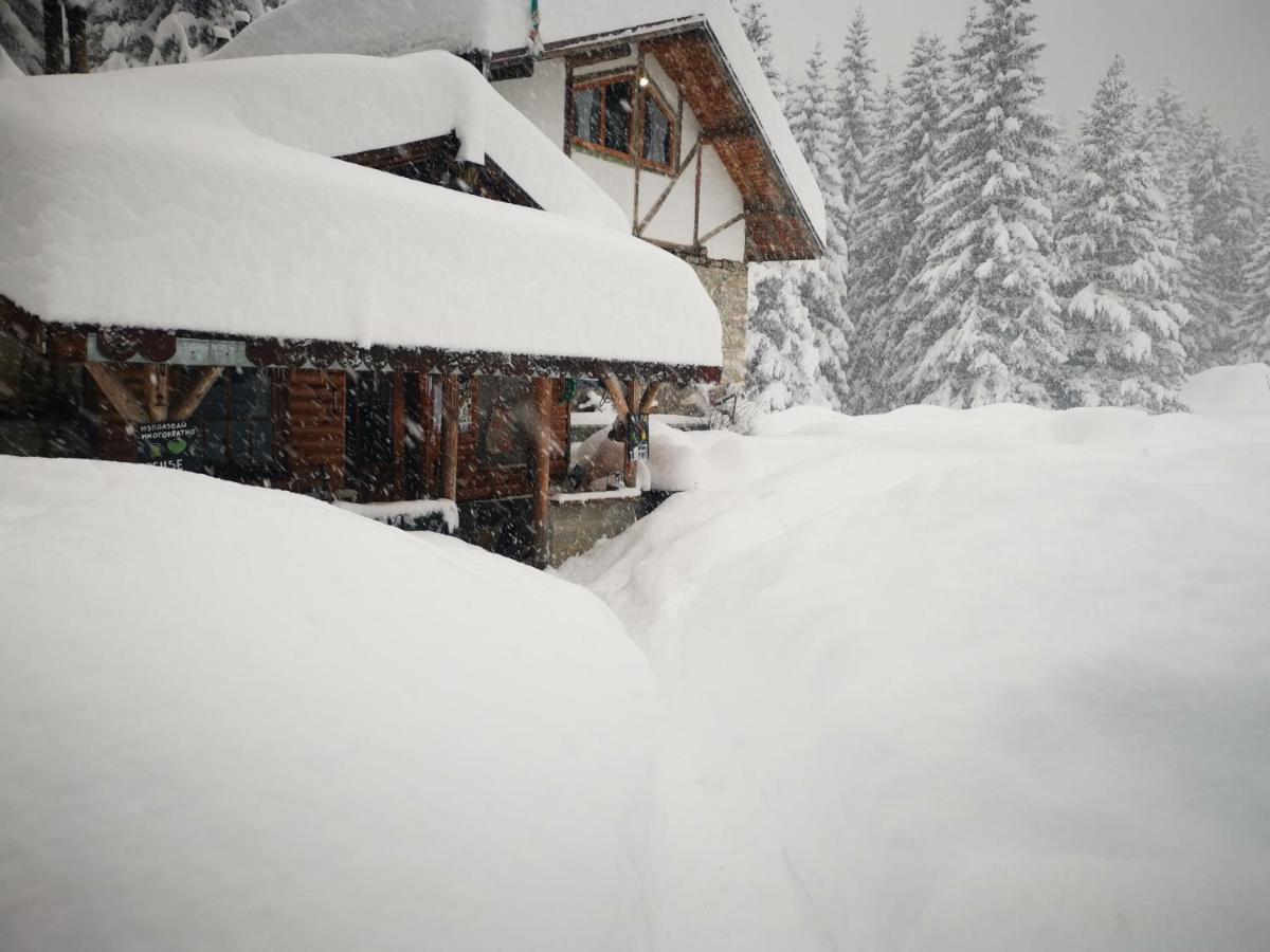 Lovna Hut Villa Panichishte Dış mekan fotoğraf